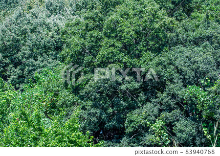 埼玉縣木葉/北本市一側 83940768