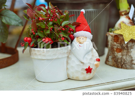 Decoration pot with santa claus and Gaultheria Procumbens - WIntergreen 83940825