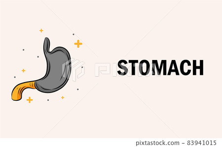 Human stomach and treatment with cute. A concept hospital for wallpaper and web. Human stomach and treatment with cute. A concept hospital for wallpaper and web. 83941015