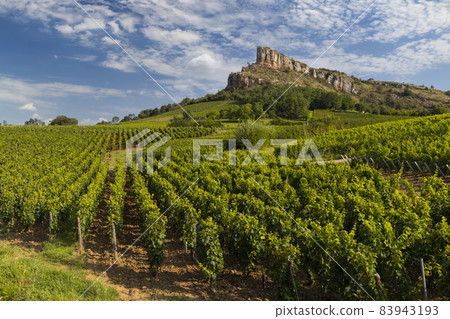Rock of Solutre with vineyards, Burgundy, Solutre-Pouilly, France Rock of Solutre with vineyards, Burgundy, Solutre-Pouilly, France 83943193