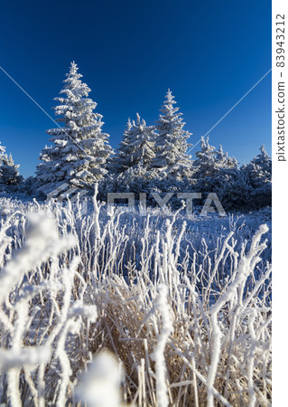 Winter landscape near Velka Destna, Orlicke mountains, Eastern Bohemia, Czech Republic Winter landscape near Velka Destna, Orlicke mountains, Eastern Bohemia, Czech Republic 83943212