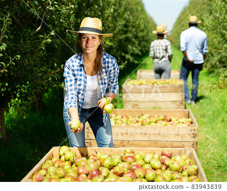 Cheerful female showing harvest of pears 83943839