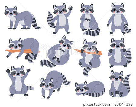 Cute cartoon baby raccoon sleeping, standing and waving. Funny raccoons poses. Happy forest animal character, racoon kids mascot vector set 83944158