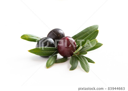 Olive Olive 83944663