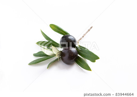 Olive Olive 83944664