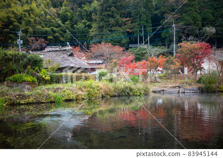 Autumn leaves of Yufuin gold scale lake 83945144