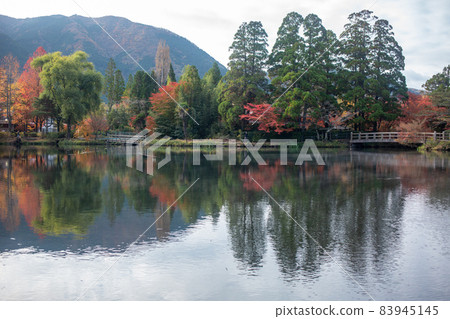 Autumn leaves of Yufuin gold scale lake 83945145