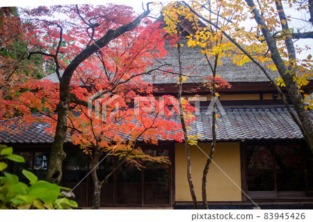 Yufuin's autumn leaves 83945426