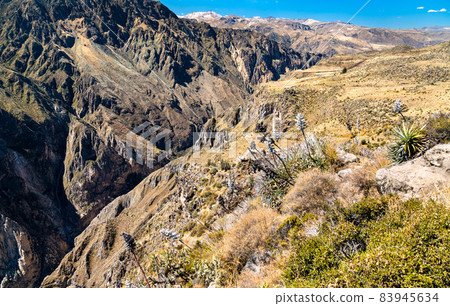 Scenery of the Colca Canyon in Peru 83945634
