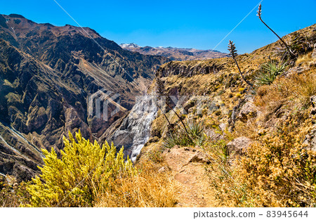 Scenery of the Colca Canyon in Peru Scenery of the Colca Canyon in Peru 83945644