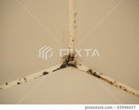 浴缸角上的模具 83946037