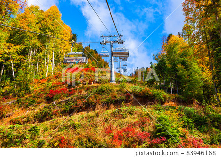 Cable car at Rosa Khutor, Sochi 83946168