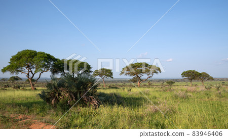 Murchison Falls National Park, Uganda Murchison Falls National Park, Uganda 83946406