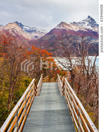 The Perito Moreno Glacier The Perito Moreno Glacier 83946606
