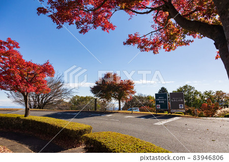 Autumn leaves of Myogiyama Panorama Park Tomioka City Autumn leaves of Myogiyama Panorama Park Tomioka City 83946806