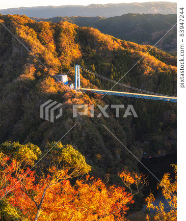 Hitachiota City, Ibaraki Prefecture, Ryujin Big Suspension Bridge in Autumn Colors 83947244
