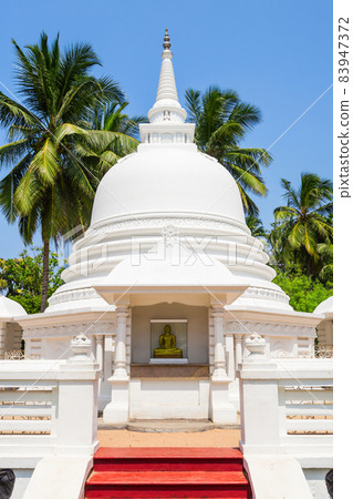 Buddhist Temple in Negombo 83947372