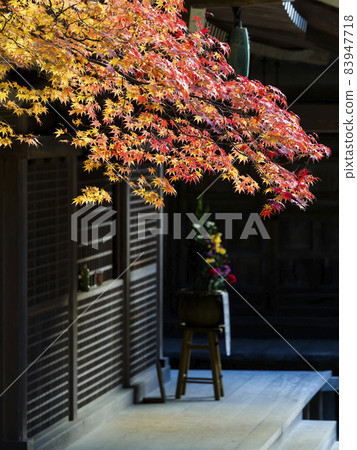 [高野山]團上伽藍寺和紅葉 83947718