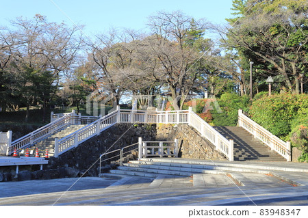 Asukayama Park, Oji, Kita-ku 83948347