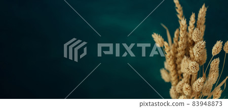 Minimalistic bouquet of beautiful dried flowers on dark background. 83948873