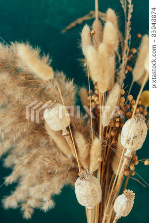 Bouquet of beige dried flowers on green-blue background. 83948874