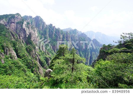 中國黃山 中國黃山 83948956