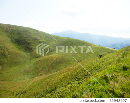 Mt. Omuro (Ito City, Shizuoka Prefecture) Mt. Omuro (Ito City, Shizuoka Prefecture) 83948997