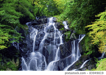 絲島的人氣景點，逐漸染上秋色的白絲瀑布（福岡縣絲島市） 83949819