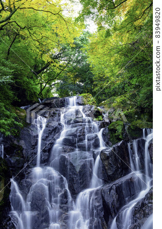 絲島的人氣景點，逐漸染上秋色的白絲瀑布（福岡縣絲島市） 83949820