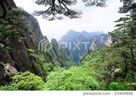 中國黃山 83949998