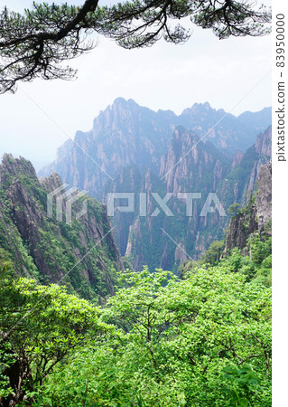 中國黃山 83950000