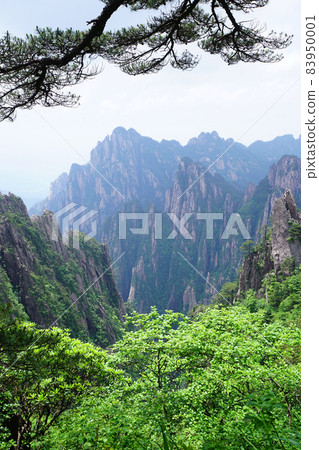 Huangshan, China Huangshan, China 83950001