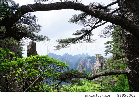 Huangshan, China 83950002