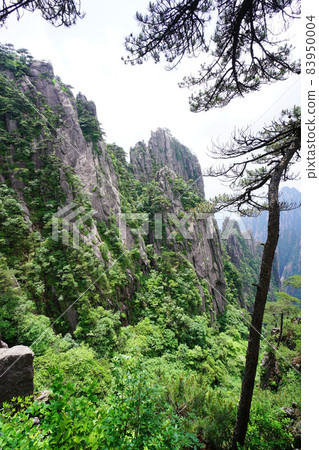 中國黃山 83950004