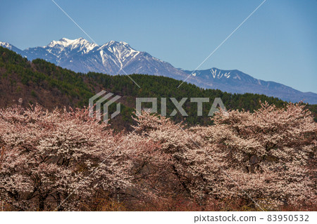 從山梨縣北斗市向川町附近看到的風景 從山梨縣北斗市向川町附近看到的風景 83950532
