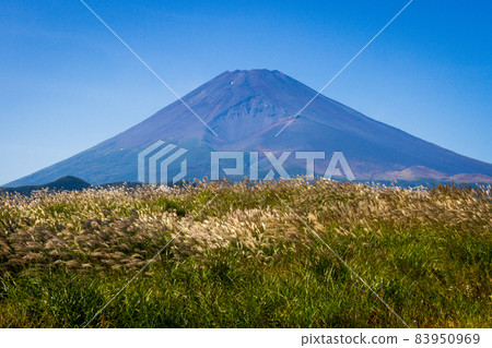 靜岡縣須野市須山的風景 83950969