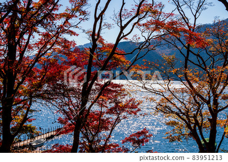 Autumn color of Lake Ashinoko, Motohakone, Hakone-machi, Ashigarashimo-gun, Kanagawa Autumn color of Lake Ashinoko, Motohakone, Hakone-machi, Ashigarashimo-gun, Kanagawa 83951213