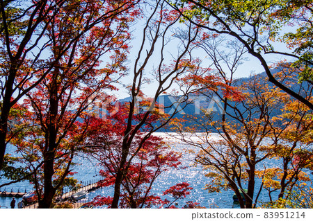 蘆之湖、元箱根、箱根町、足柄下郡、神奈川縣的秋色 蘆之湖、元箱根、箱根町、足柄下郡、神奈川縣的秋色 83951214