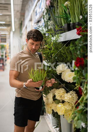 Man in casual clothes touching and inspecting potted grass plant while standing near shelves in floral department of mall Man in casual clothes touching and inspecting potted grass plant while standing near shelves in floral department of mall 83951526