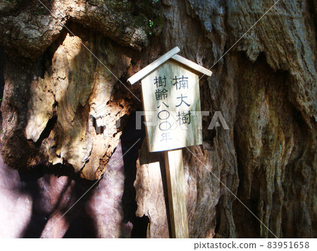 Oki on the Kumano Kodo (Daimonzaka-Kumano Nachi Taisha) Nachikatsuura Town, Wakayama Prefecture Oki on the Kumano Kodo (Daimonzaka-Kumano Nachi Taisha) Nachikatsuura Town, Wakayama Prefecture 83951658