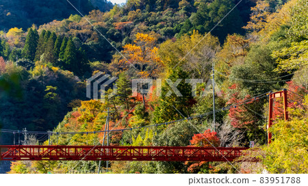 Scenery of autumn leaves of Takedao 83951788