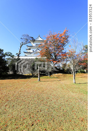 Iga Ueno Castle in the fall Iga Ueno Castle in the fall 83953524