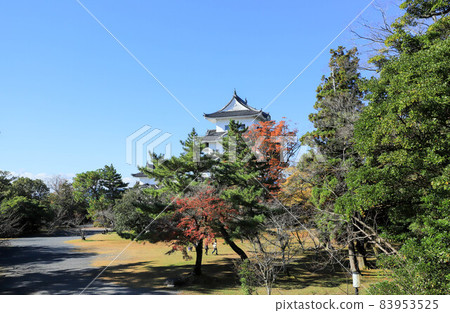 Iga Ueno Castle in the fall Iga Ueno Castle in the fall 83953525