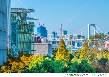 日本東京城市景觀 俯瞰正在從沿海副中心轉變的東京市中心的大城市。正面左側是國家新興科學與創新博物館等。 日本東京城市景觀 俯瞰正在從沿海副中心轉變的東京市中心的大城市。正面左側是國家新興科學與創新博物館等。 83954744