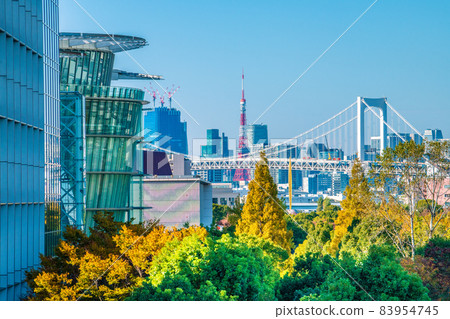 日本東京城市景觀 俯瞰正在從沿海副中心轉變的東京市中心的大城市。正面左側是國家新興科學與創新博物館等。 83954745