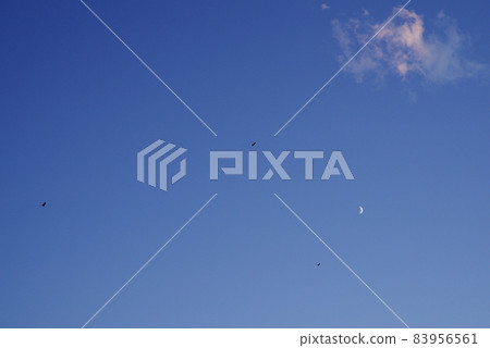 月浮的夜空和飛翔的烏鴉 月浮的夜空和飛翔的烏鴉 83956561