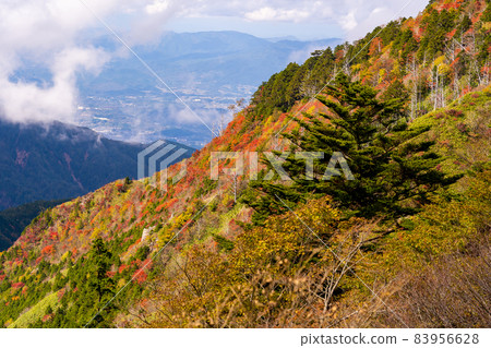 A mountain of autumn leaves from the vicinity of the Misaka Pass on the prefectural border between Gifu and Nagano prefectures 83956628