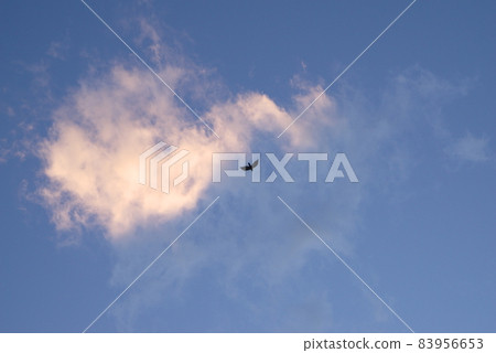 Clouds floating in the evening sky and flying crows Clouds floating in the evening sky and flying crows 83956653