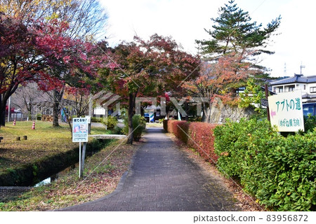 Gunma Prefecture Pass Road Exploration Near the starting point of Apt Road Autumn leaves and tourist information board 83956872