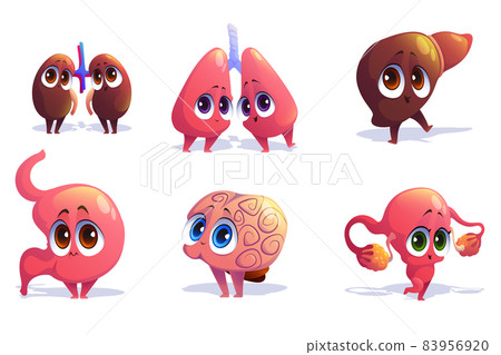 Cute characters of human internal organs Cute characters of human internal organs 83956920